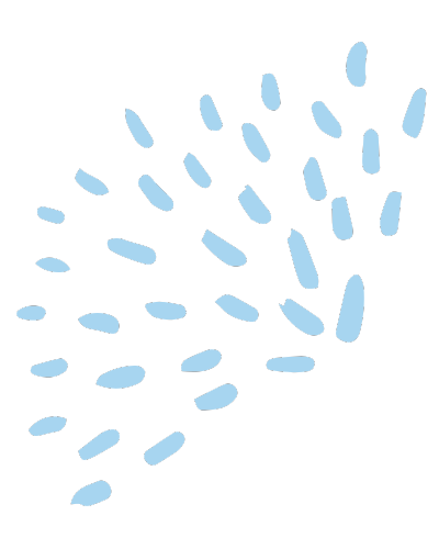 Flower Graphic Left Facing in Light Blue